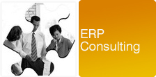 ERP-Consulting